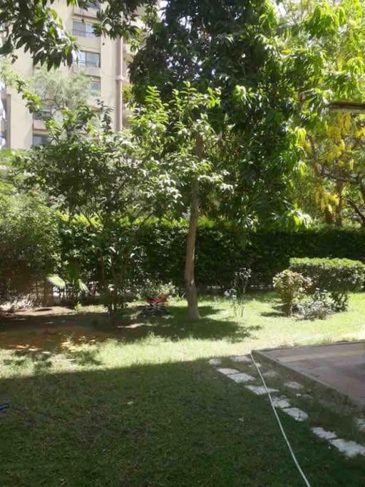 Maadi Nerco